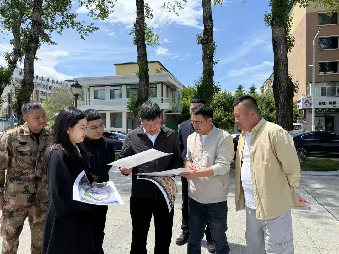 张正强深入辖区开展城市更新项目调研