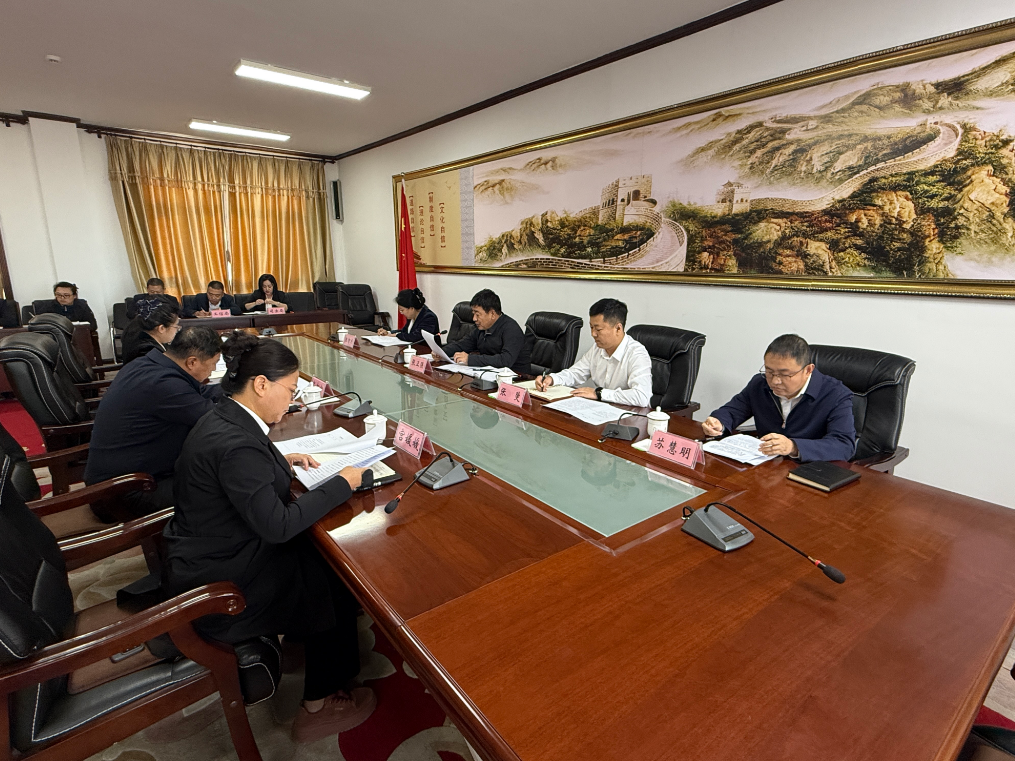 区委党的建设工作领导小组会议召开