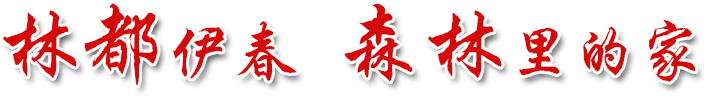 林都伊春 森林里的家